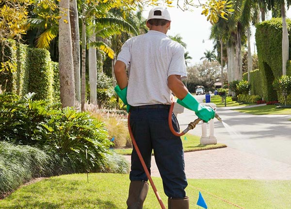 About Imperial PA Pest Control Pros